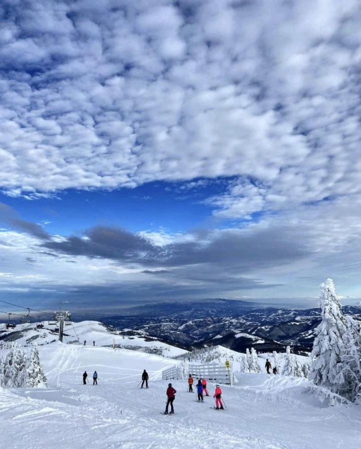 K19 Milmari Resort & Spa Kopaonik Exteriör bild